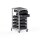 Systemwagen mit ESD-Euroboxen H=111 cm